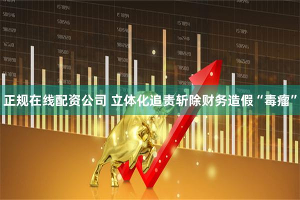 正规在线配资公司 立体化追责斩除财务造假“毒瘤”