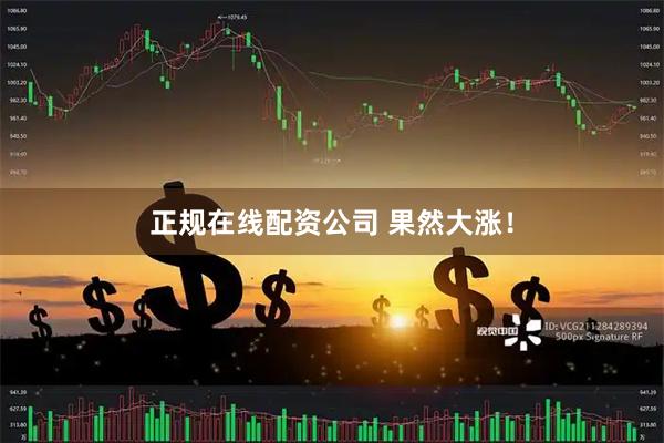 正规在线配资公司 果然大涨！