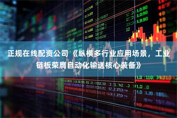 正规在线配资公司 《纵横多行业应用场景，工业链板荣膺自动化输送核心装备》