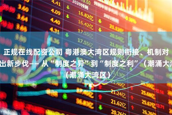 正规在线配资公司 粤港澳大湾区规则衔接、机制对接迈出新步伐—— 从“制度之异”到“制度之利”（潮涌大湾区）