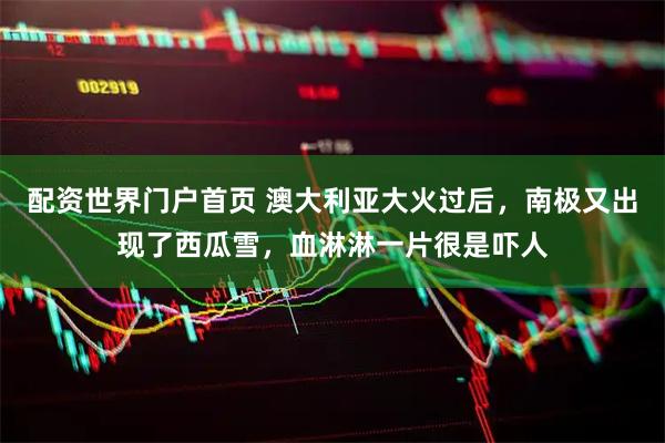 配资世界门户首页 澳大利亚大火过后，南极又出现了西瓜雪，血淋淋一片很是吓人