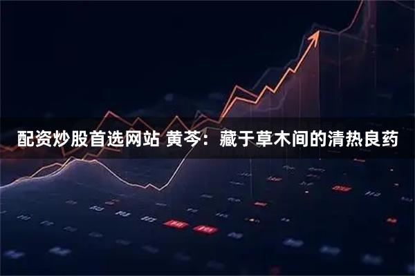 配资炒股首选网站 黄芩：藏于草木间的清热良药