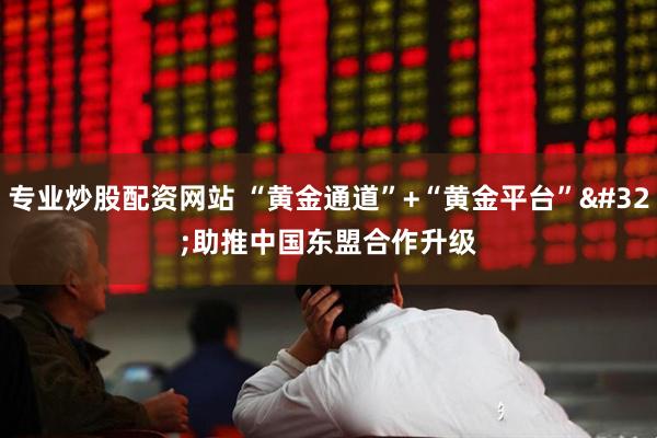 专业炒股配资网站 “黄金通道”+“黄金平台” 助推中国东盟合作升级